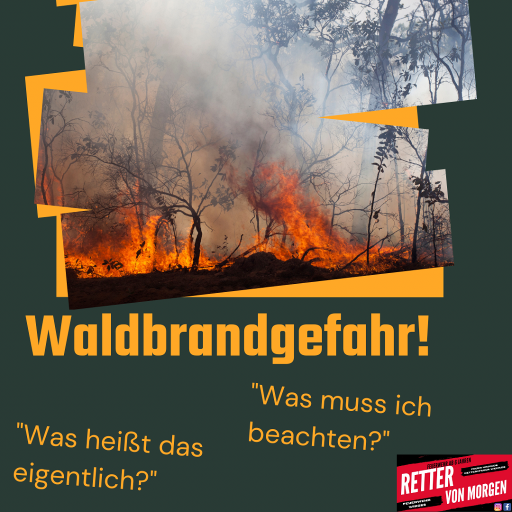 Feuerwehr wirges waldbrand einsatz